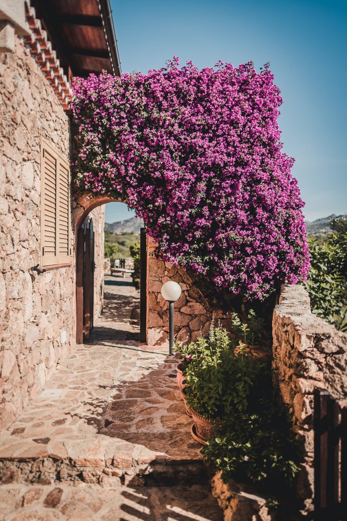 Su Paradiso Sardegna - fotografia interni Vesta Interiors