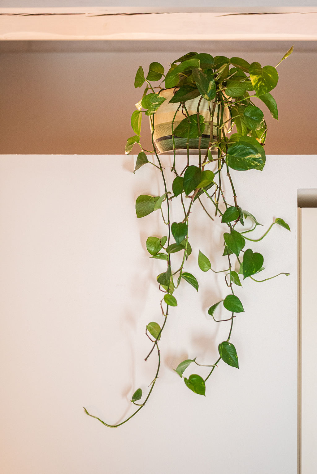 chic B&B Veronetta - fotografia interni Vesta Interiors